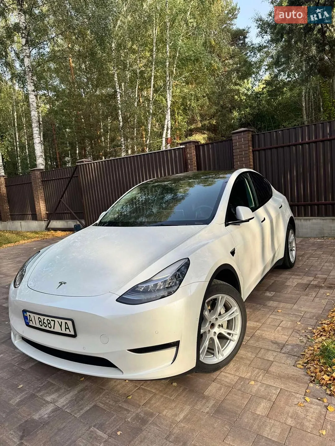 2021 Tesla Model Y - мініатюра 2