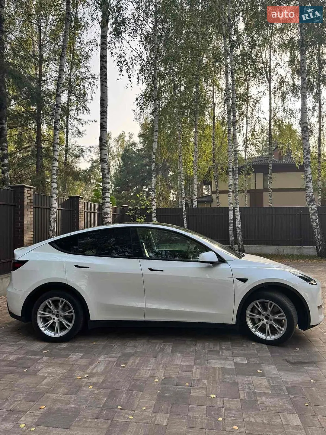 2021 Tesla Model Y - мініатюра 4