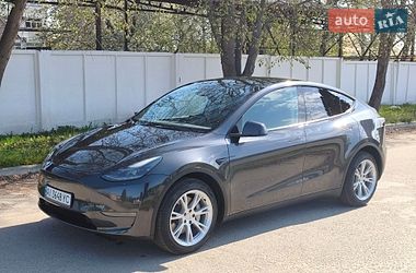 Внедорожник / Кроссовер Tesla Model Y 2024 в Сквире