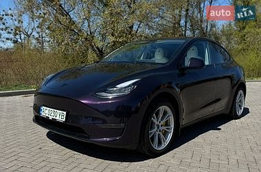 Позашляховик / Кросовер Tesla Model Y 2021 в Старій Вижівці