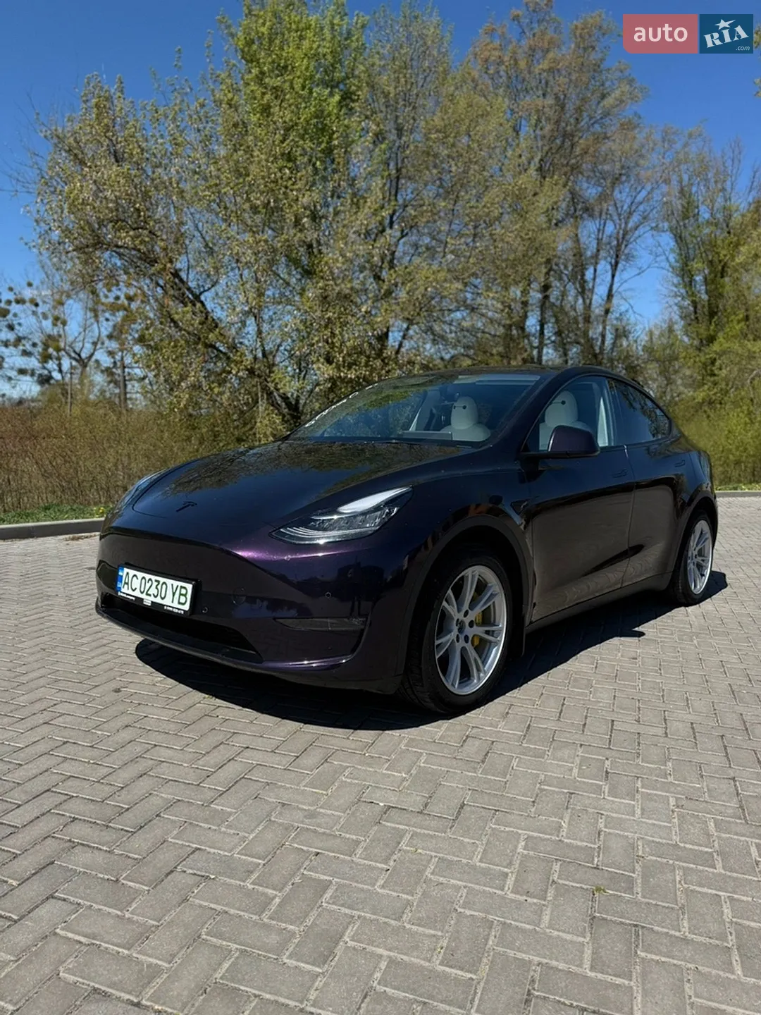 2021 Tesla Model Y - фото 1