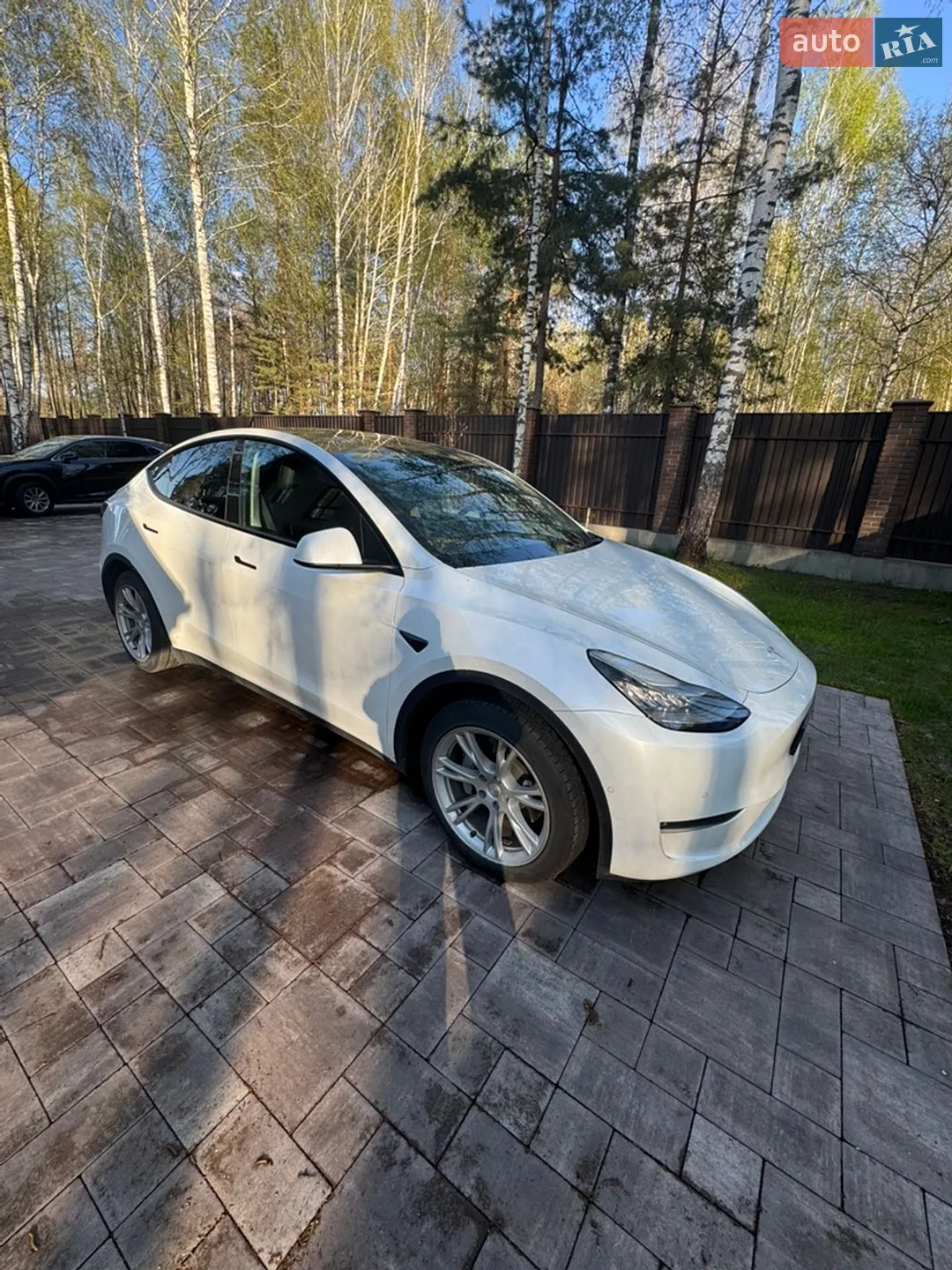 2021 Tesla Model Y - фото 1