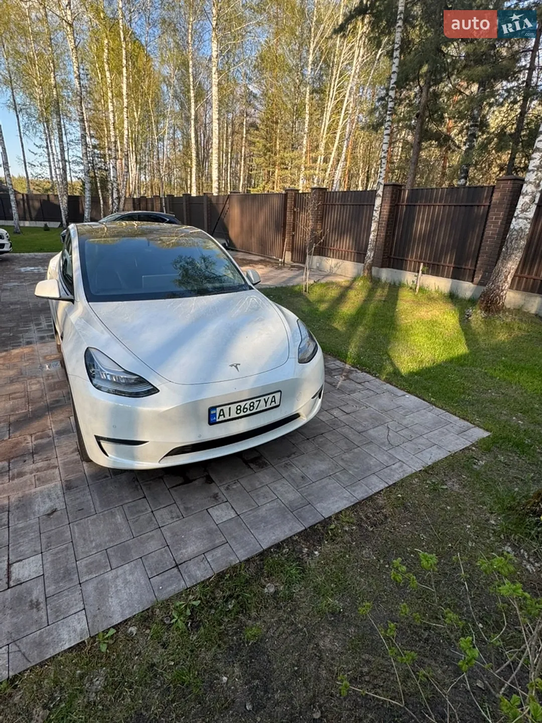 2021 Tesla Model Y - мініатюра 16