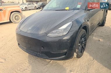 Внедорожник / Кроссовер Tesla Model Y 2023 в Запорожье