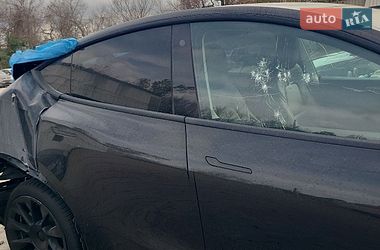 Внедорожник / Кроссовер Tesla Model Y 2023 в Запорожье