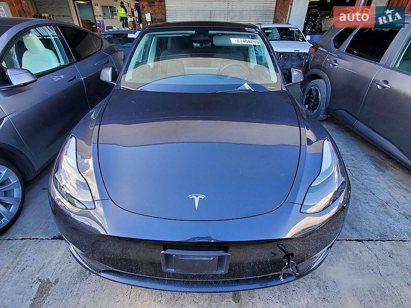 Внедорожник / Кроссовер Tesla Model Y 2024 в Запорожье