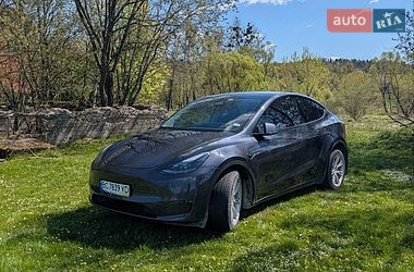 Внедорожник / Кроссовер Tesla Model Y 2024 в Львове