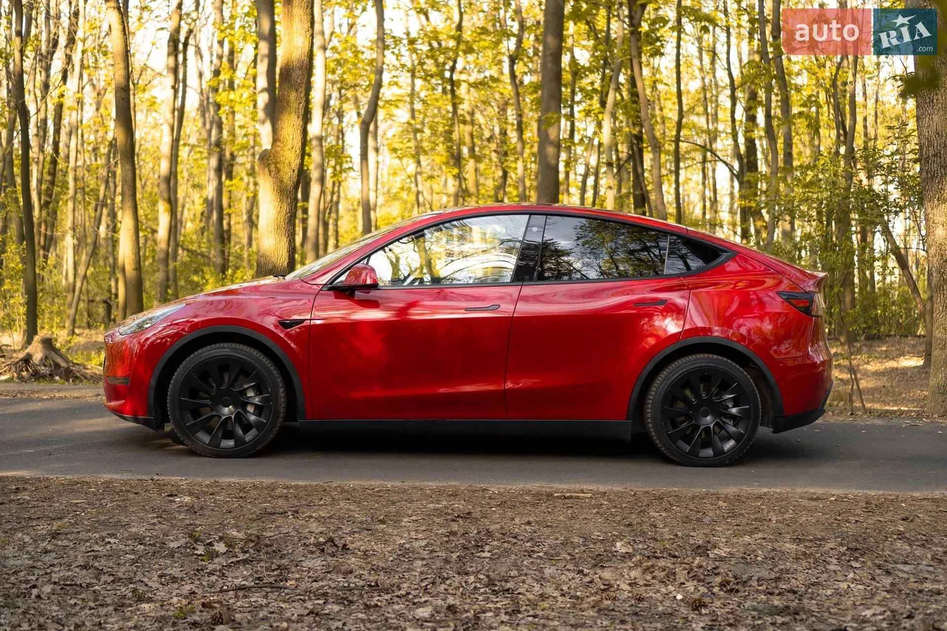 2021 Tesla Model Y - мініатюра 4