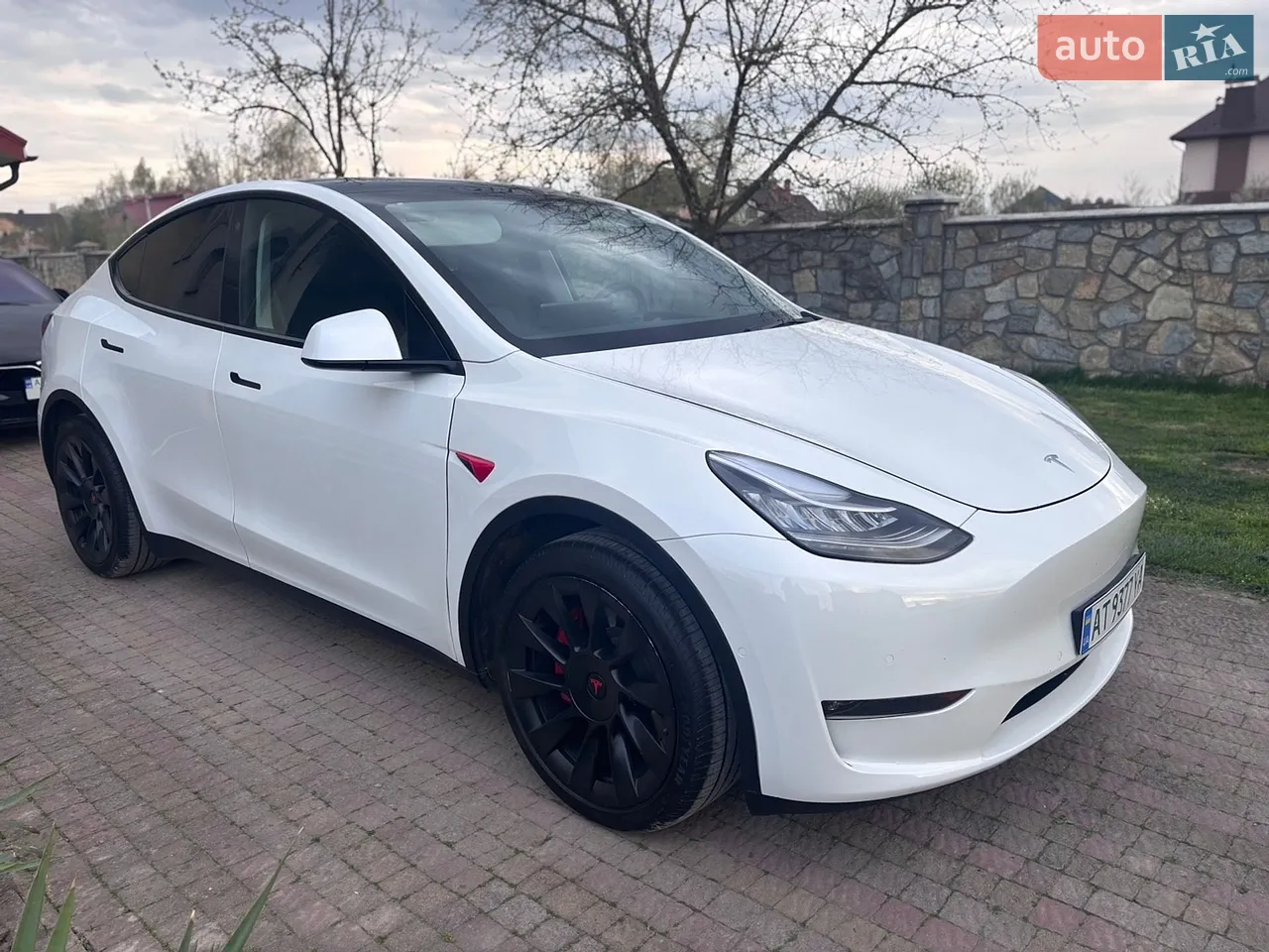 2022 Tesla Model Y - мініатюра 82