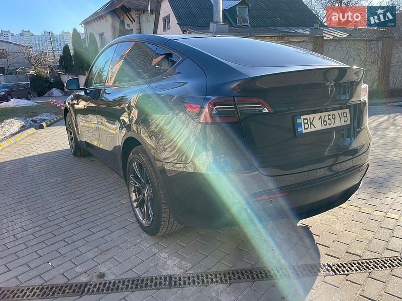 Позашляховик / Кросовер Tesla Model Y 2024 в Івано-Франківську