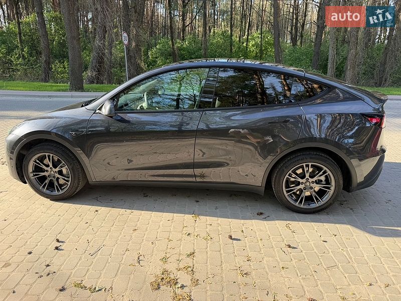 Внедорожник / Кроссовер Tesla Model Y 2024 в Львове