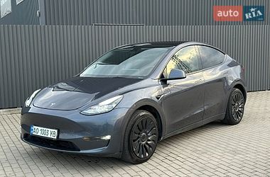 Внедорожник / Кроссовер Tesla Model Y 2023 в Ужгороде