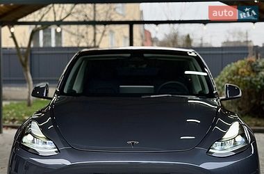 Позашляховик / Кросовер Tesla Model Y 2023 в Львові
