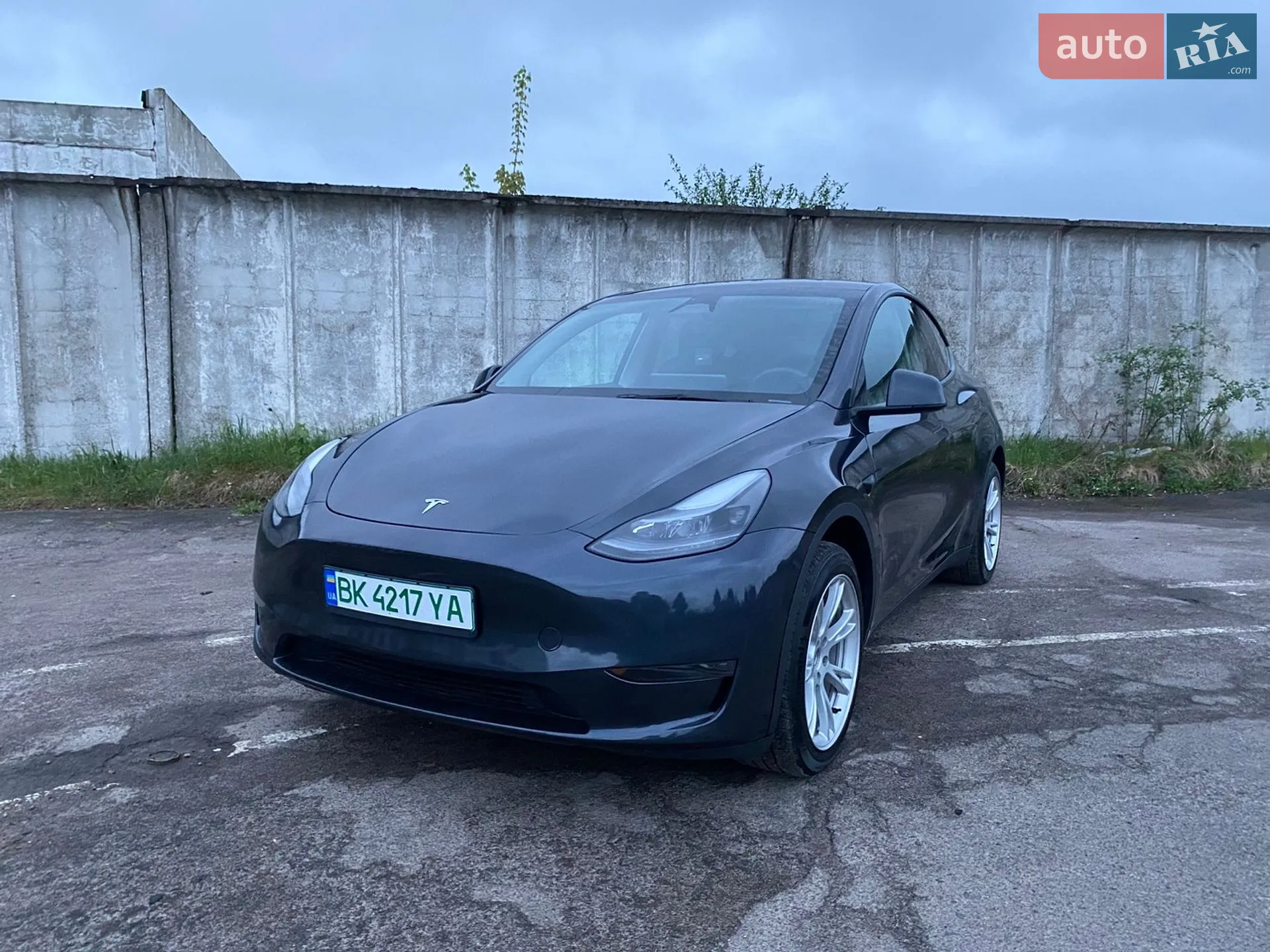 2024 Tesla Model Y - фото 1