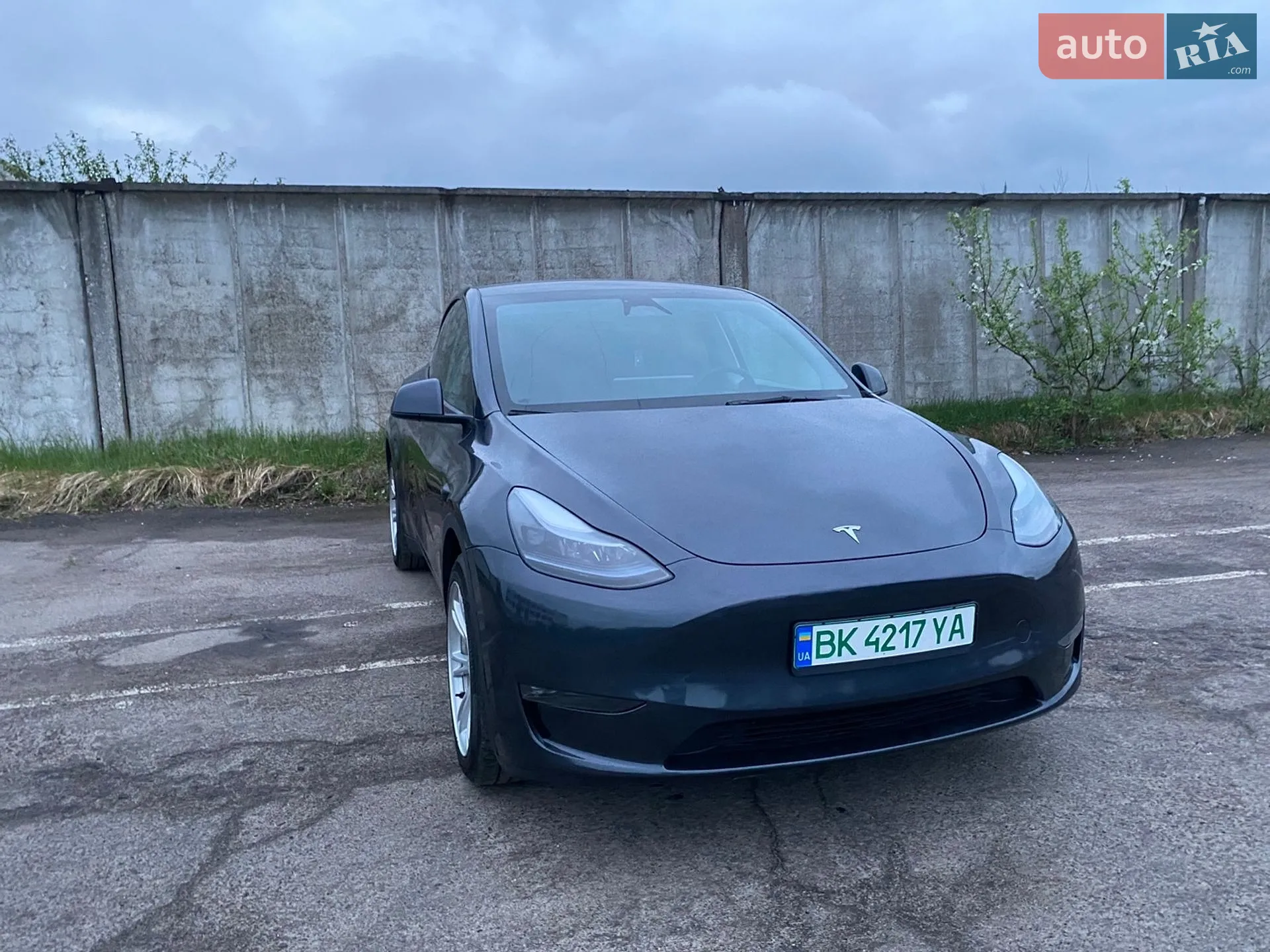 2024 Tesla Model Y - мініатюра 7