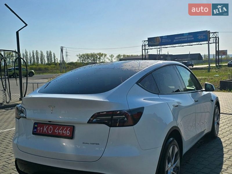 Позашляховик / Кросовер Tesla Model Y 2023 в Чернівцях
