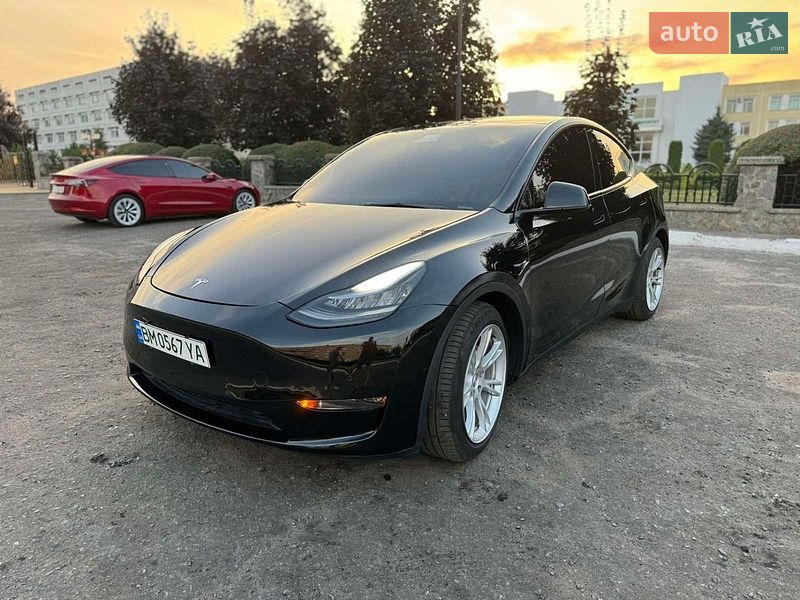 Позашляховик / Кросовер Tesla Model Y 2021 в Сумах