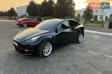 Позашляховик / Кросовер Tesla Model Y 2021 в Сумах