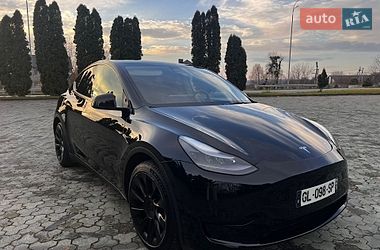 Позашляховик / Кросовер Tesla Model Y 2023 в Дубні