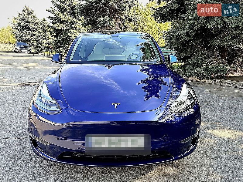 Позашляховик / Кросовер Tesla Model Y 2021 в Запоріжжі