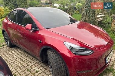 Позашляховик / Кросовер Tesla Model Y 2024 в Рівному