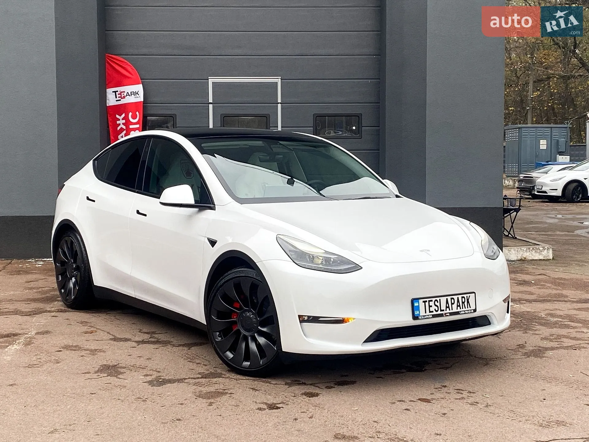 2023 Tesla Model Y - фото 1