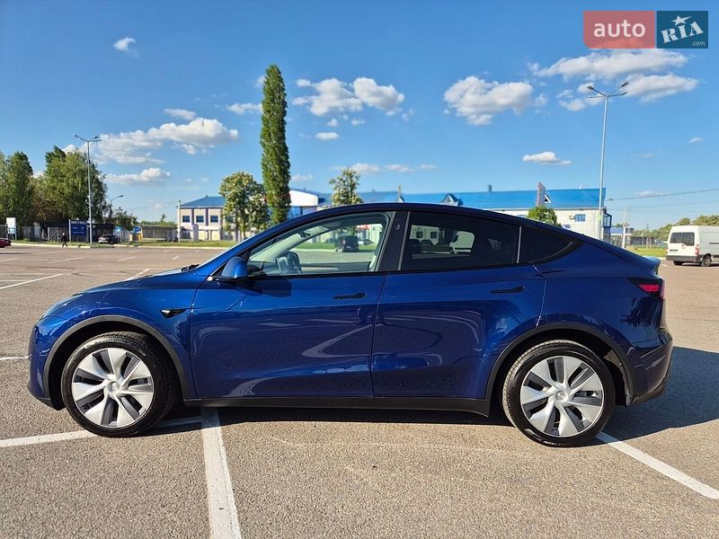 Позашляховик / Кросовер Tesla Model Y 2024 в Житомирі