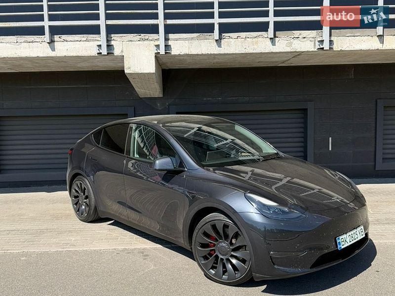 Позашляховик / Кросовер Tesla Model Y 2024 в Києві