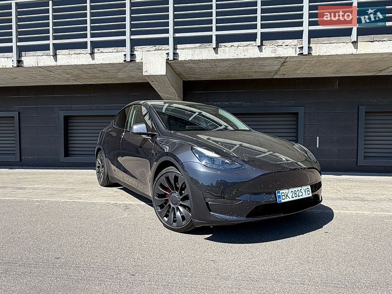 Позашляховик / Кросовер Tesla Model Y 2024 в Києві