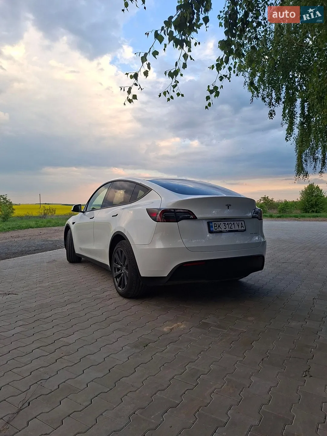 2023 Tesla Model Y - мініатюра 5