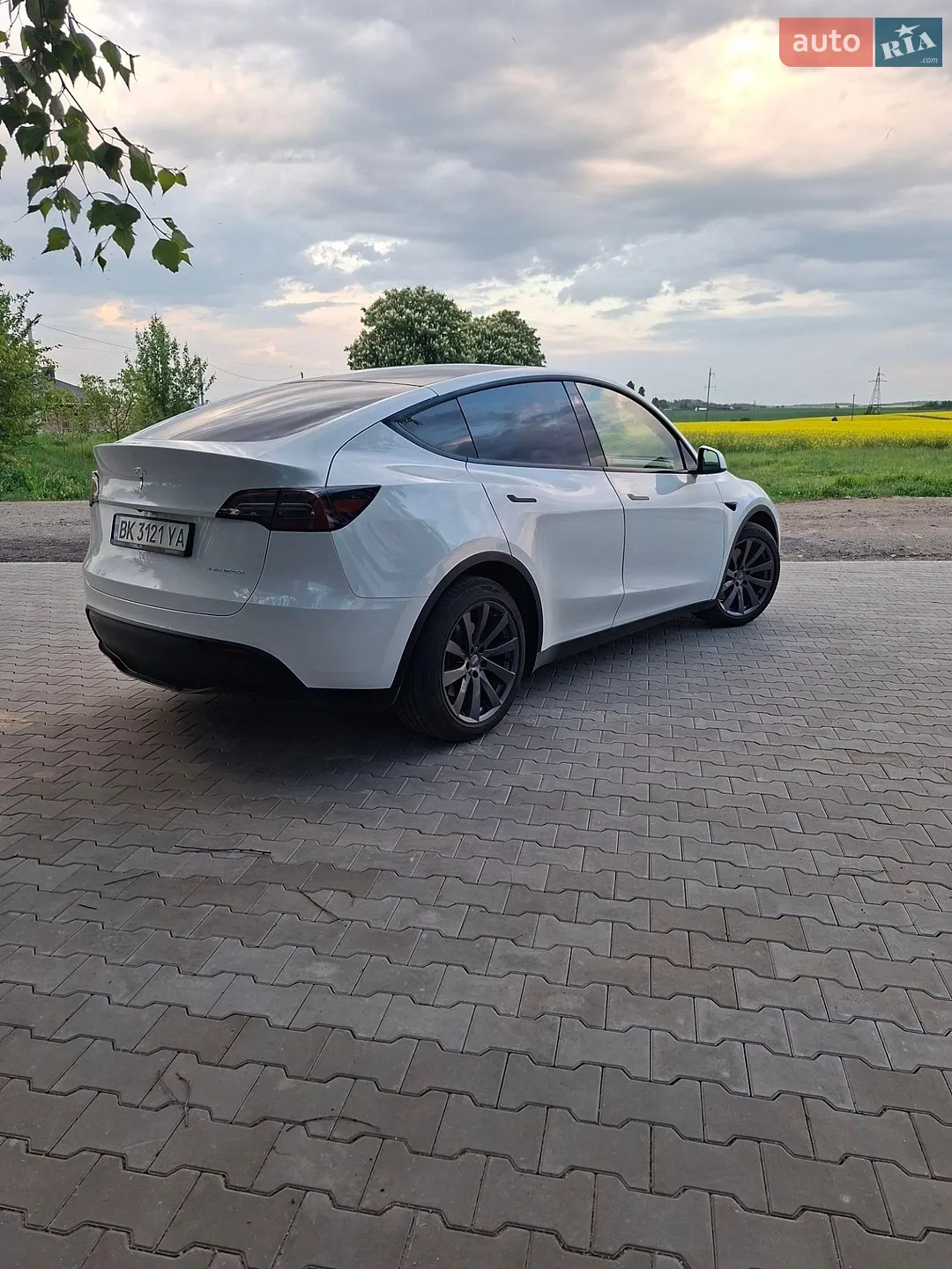 2023 Tesla Model Y - мініатюра 8