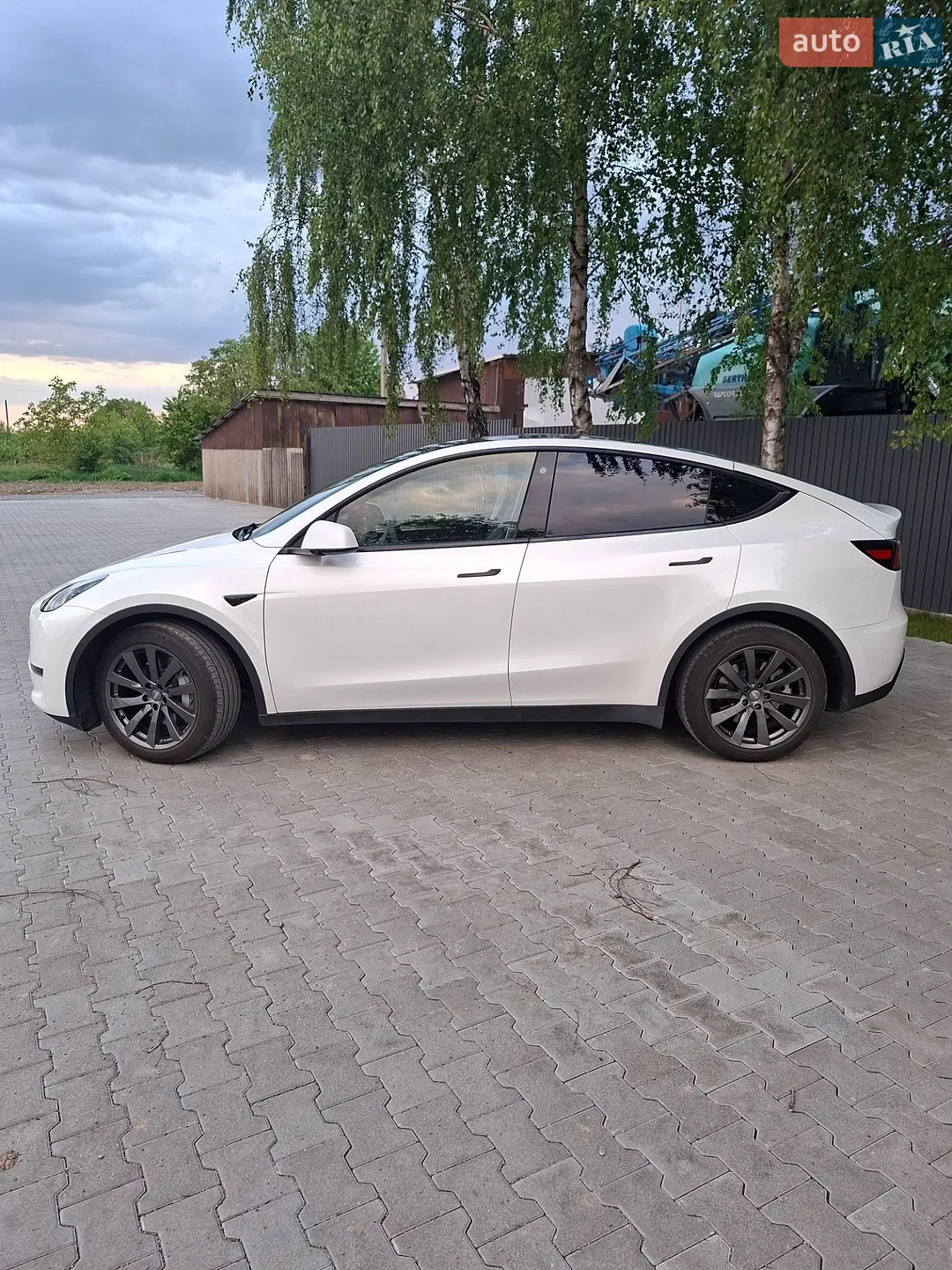2023 Tesla Model Y - мініатюра 12