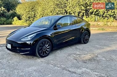 Позашляховик / Кросовер Tesla Model Y 2024 в Києві