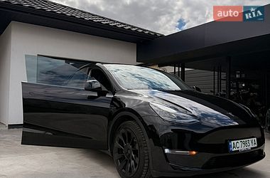 Позашляховик / Кросовер Tesla Model Y 2023 в Луцьку