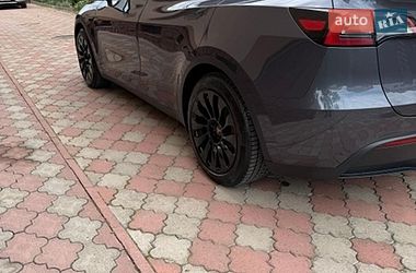 Позашляховик / Кросовер Tesla Model Y 2021 в Івано-Франківську