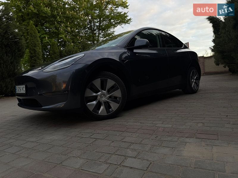 Внедорожник / Кроссовер Tesla Model Y 2022 в Самборе
