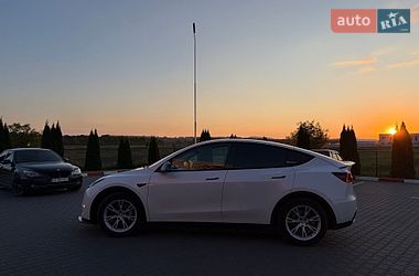 Внедорожник / Кроссовер Tesla Model Y 2021 в Черновцах
