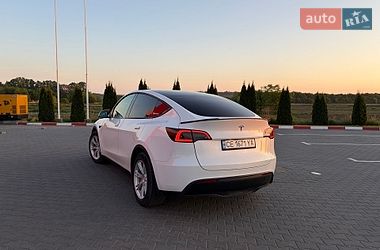 Внедорожник / Кроссовер Tesla Model Y 2021 в Черновцах