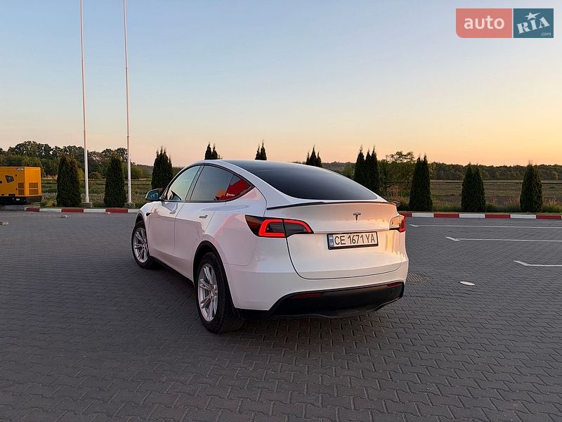 Внедорожник / Кроссовер Tesla Model Y 2021 в Черновцах
