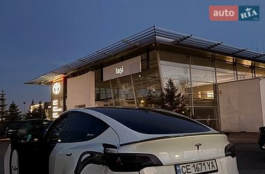 Внедорожник / Кроссовер Tesla Model Y 2021 в Черновцах