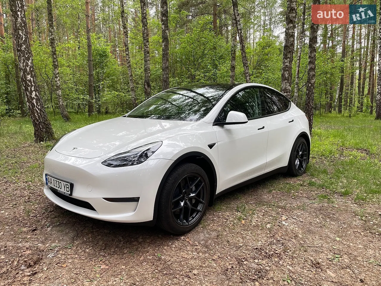 2023 Tesla Model Y - мініатюра 12