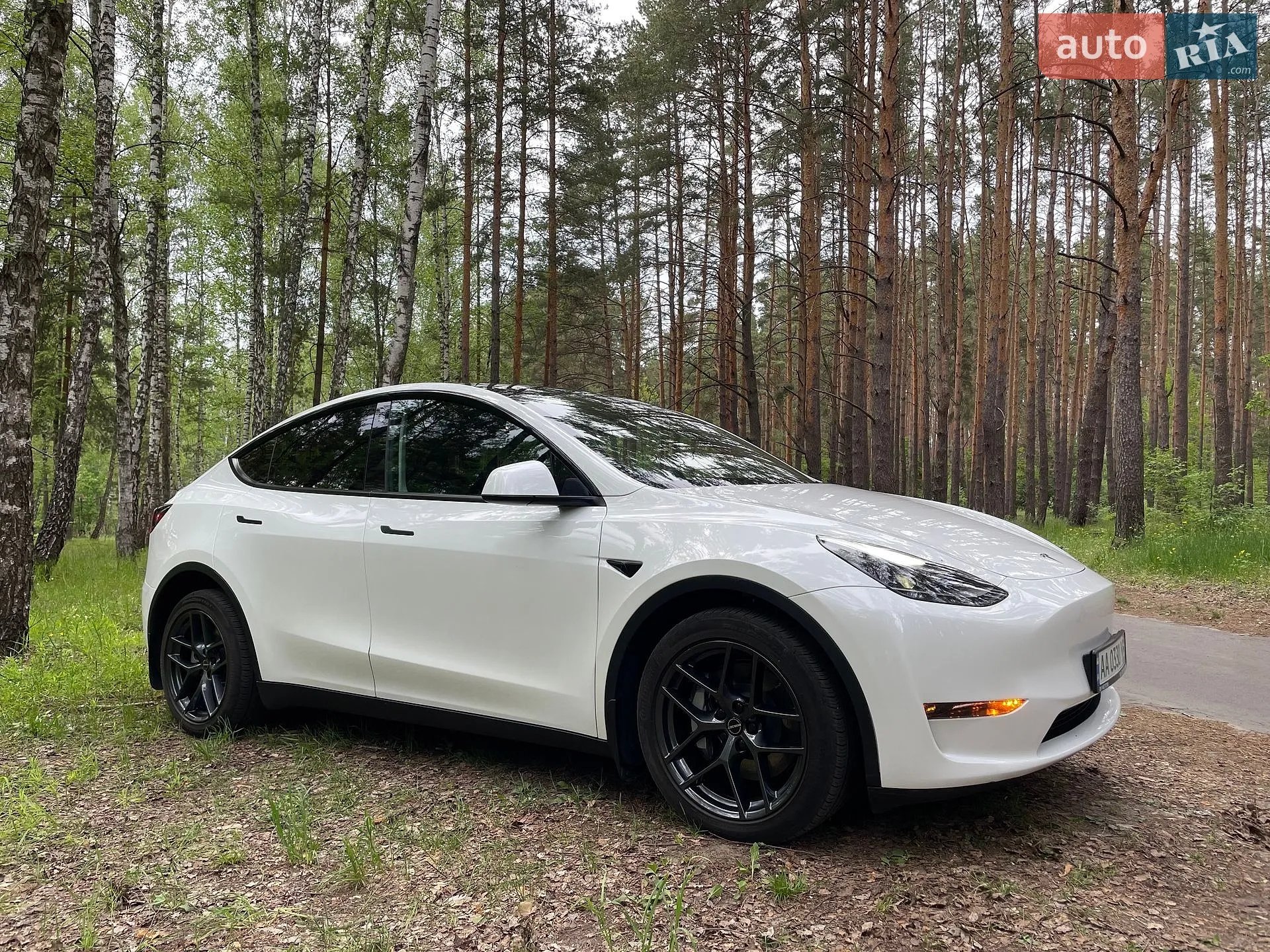 2022 Tesla Model Y - мініатюра 6