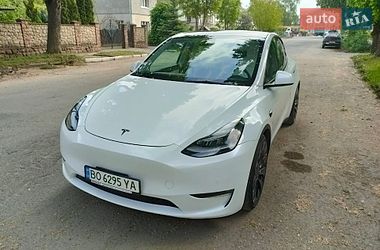Позашляховик / Кросовер Tesla Model Y 2021 в Тернополі