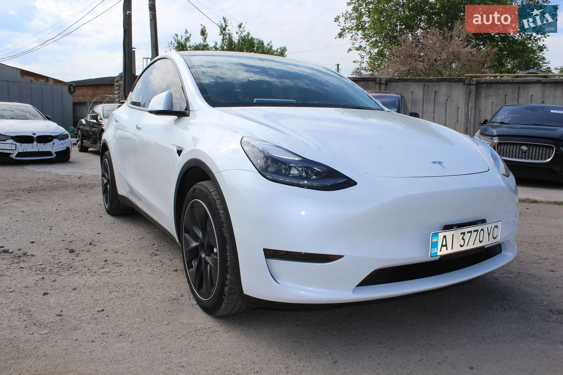 2023 Tesla Model Y - мініатюра 12