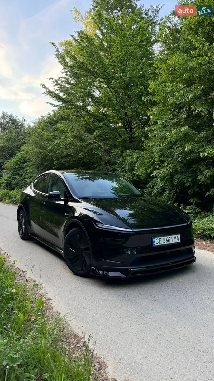 2025 Tesla Model Y - мініатюра 3