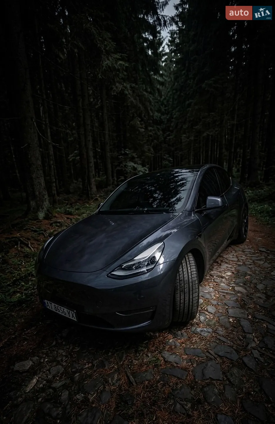 2021 Tesla Model Y - фото 1