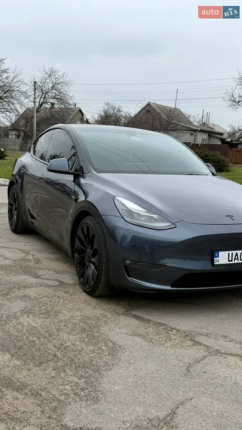 2021 Tesla Model Y - фото 1