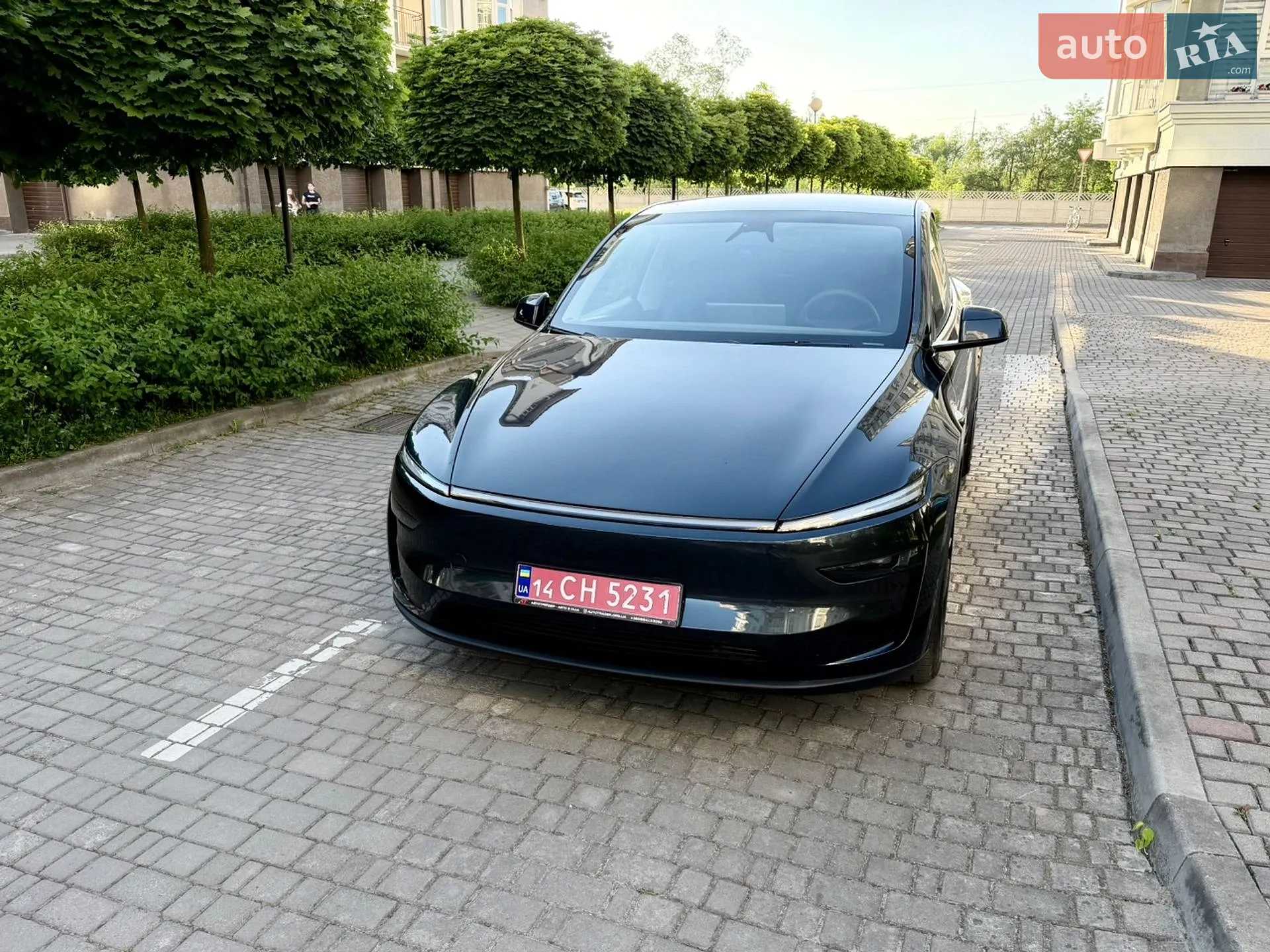 2025 Tesla Model Y - фото 1