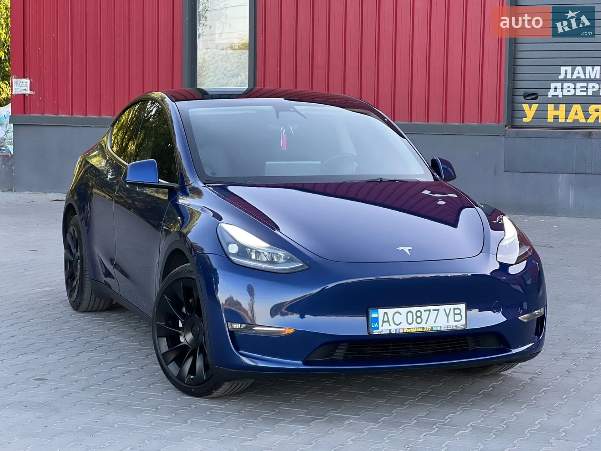 2023 Tesla Model Y - фото 1