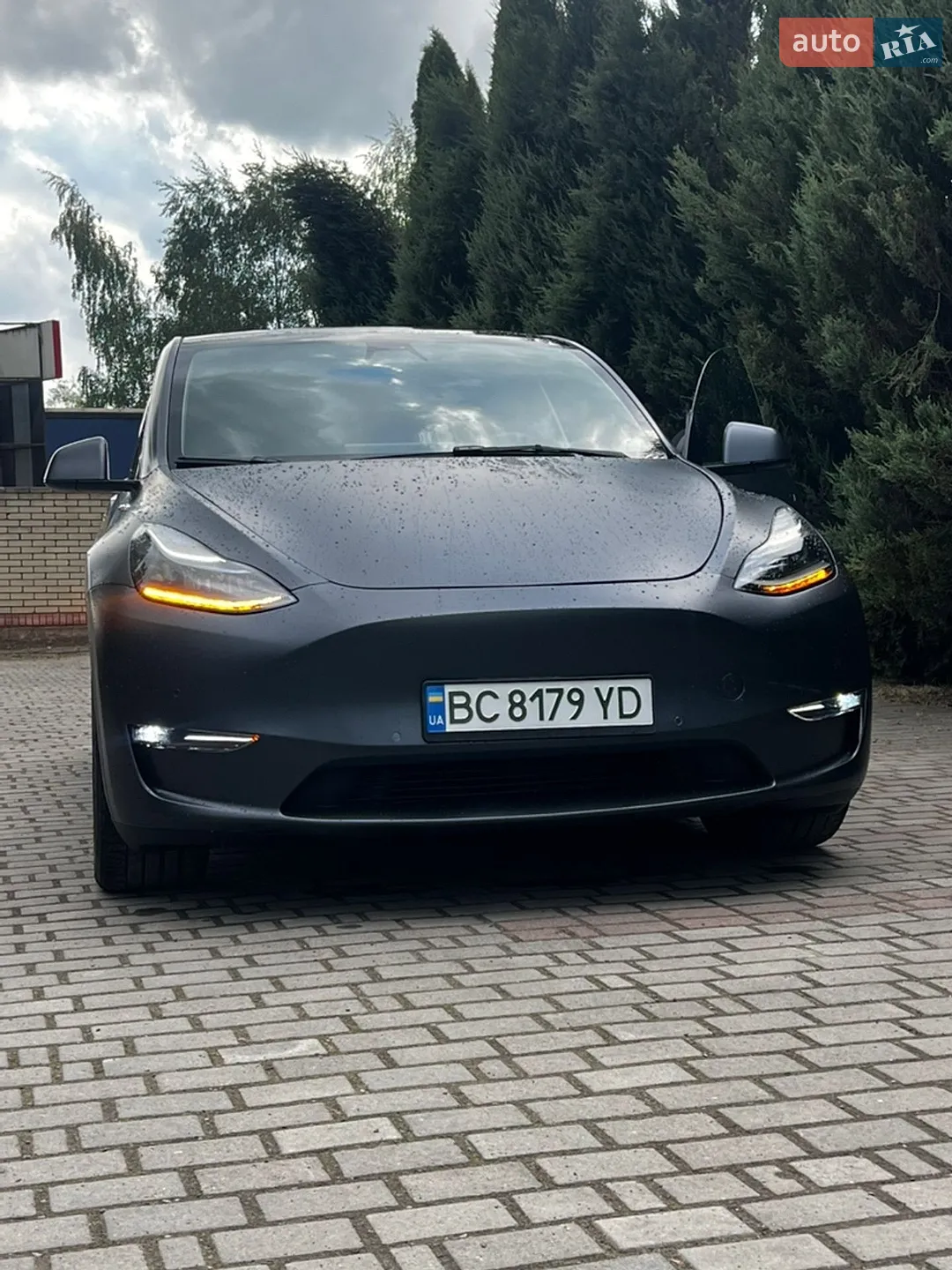 2022 Tesla Model Y - фото 1